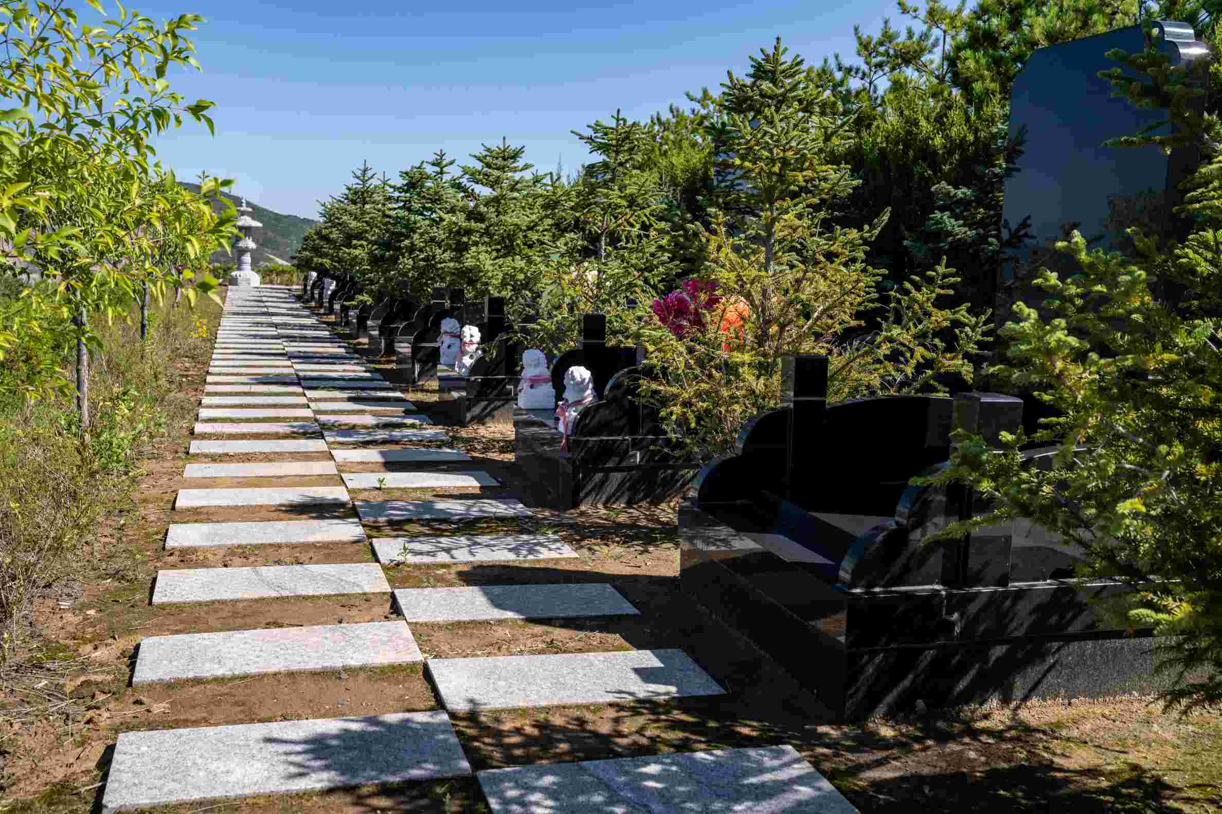 【太原墓地】东南西北，墓地选择朝向有什么讲究？
